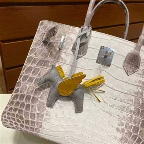 hermes birkin official website